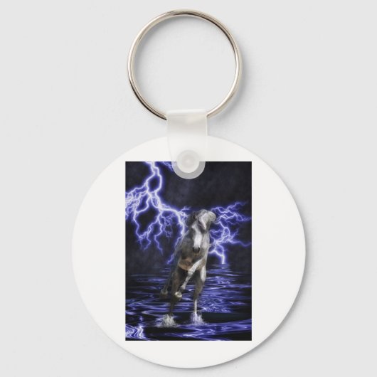 全能アラビア人 キーホルダー (正面)