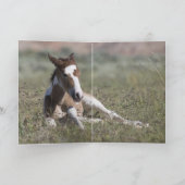 全脚ワイルドホースグリーティングカード カード (内部)