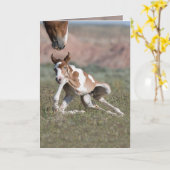 全脚ワイルドホースグリーティングカード カード (黄色い花)