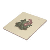 全葉プリムローズボタニカルイラストレーション タイル (側面)