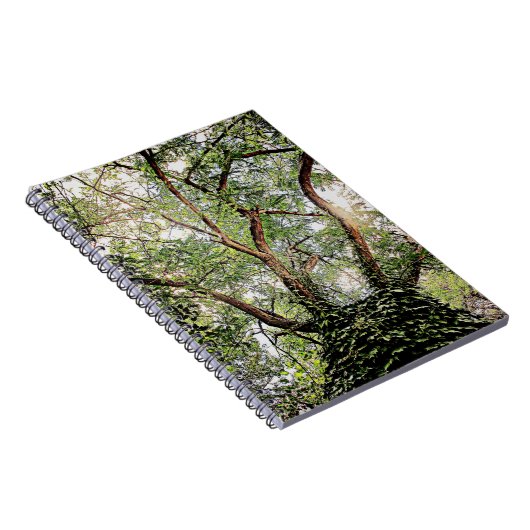 全葉緑のまわりに ノートブック (右側)
