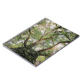 全葉緑のまわりに ノートブック (左側)