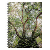 全葉緑のまわりに ノートブック (正面)