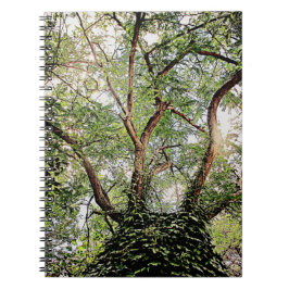 全葉緑のまわりに ノートブック