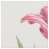 全身の白昼色 ファブリック (クローズアップ)