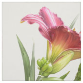 全身の白昼色 ファブリック (見本)