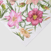 全身の白昼色 薄葉紙 (詳細)