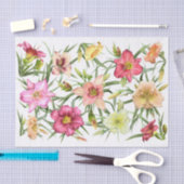 全身の白昼色 薄葉紙 (クラフト)