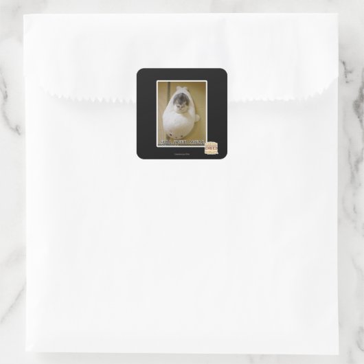 全速前進 スクエアシール (バッグ)