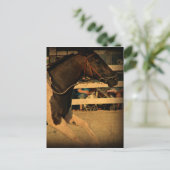 全速前進 ポストカード (スタンド正面)