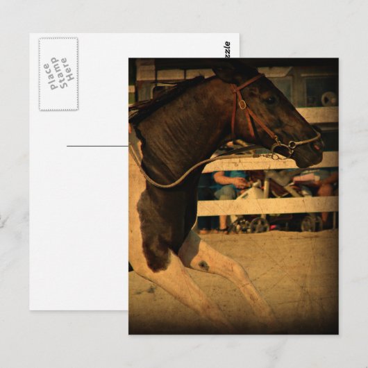 全速前進 ポストカード (正面/裏面)