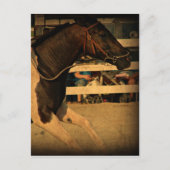 全速前進 ポストカード (正面)