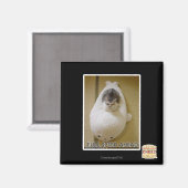 全速前進 マグネット (正面/裏面)