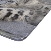 全遊て取り出し角型ガラス板 カッティングボード (角)