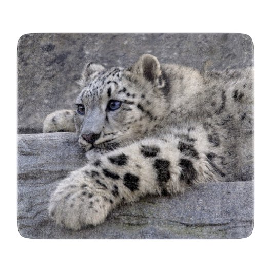 全遊て取り出し角型ガラス板 カッティングボード (正面)