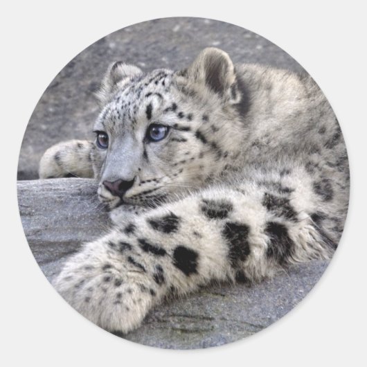 全遊出力シール ラウンドシール (正面)