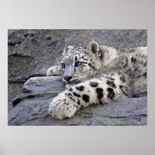 全遊出力プリント ポスター (正面)