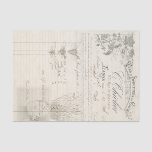 全部の根 薄葉紙 (正面)