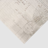 全部の根 薄葉紙 (詳細)