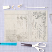 全部の根 薄葉紙 (クラフト)