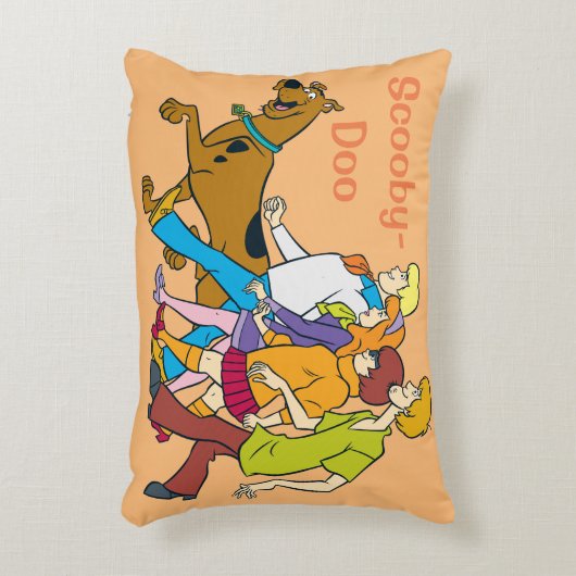 全集団18のミステリー株式会社 アクセントクッション (正面(垂直))