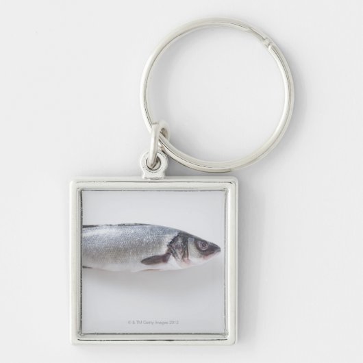 全branziniの魚 キーホルダー (正面)
