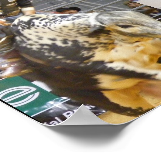 八秒巡喜 ポスター (角)