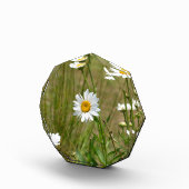 八角形の  フォトブロック (右)