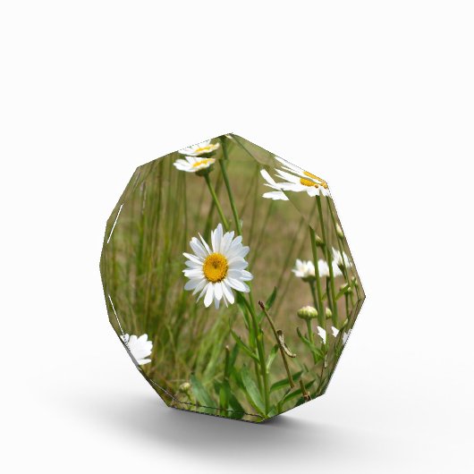 八角形の  フォトブロック (右)