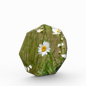 八角形の  フォトブロック (左)