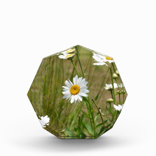 八角形の  フォトブロック (正面)