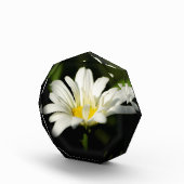 八角形フォトブロックテンプレート フォトブロック (右)