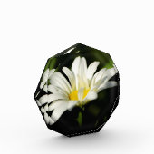 八角形フォトブロックテンプレート フォトブロック (左)