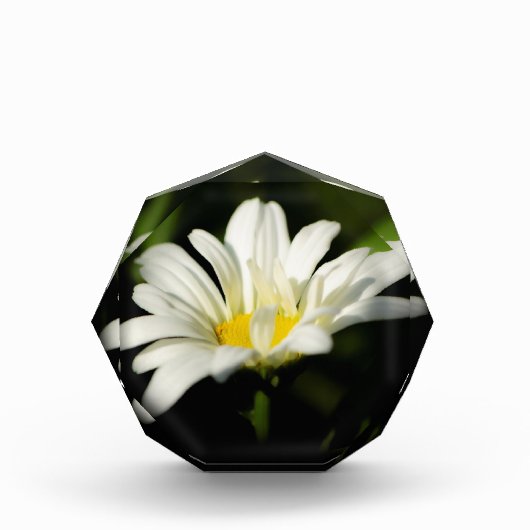 八角形フォトブロックテンプレート フォトブロック (正面)