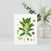 八角 ポストカード (スタンド正面)