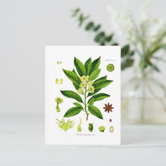 八角 ポストカード (スタンド正面)