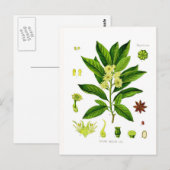 八角 ポストカード (正面/裏面)