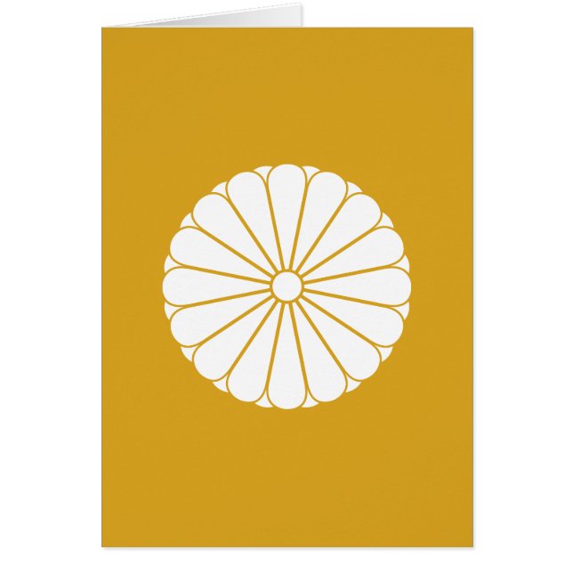 八重十六菊 (正面)