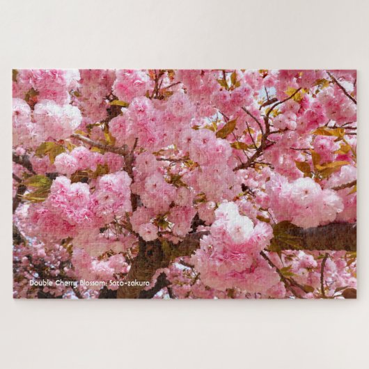 八重桜:里桜 ジグソーパズル (横)