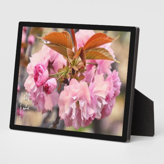 八重桜: 関山 フォトプラーク (側面)