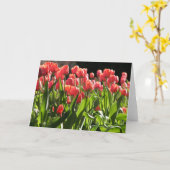公共庭のチューリップ カード (黄色い花)
