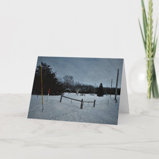 「公園での大暴れ」クリスマスカード カード (正面)