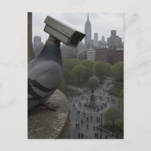 公園で サプライズ監視カメラハト ポストカード (正面)