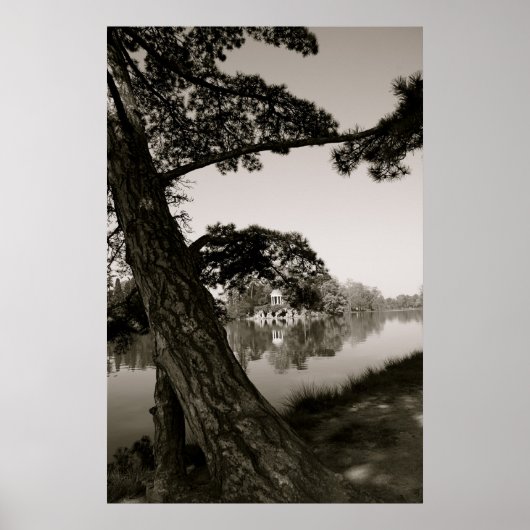 公園で ポスター (正面)