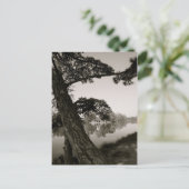 公園にて ポストカード (スタンド正面)