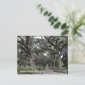 公園のはがきにサバンナ・ジョージア ポストカード (スタンド正面)