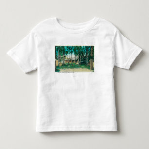 公園のアイダホの市ツーリスト滝の眺め、ID トドラーTシャツ