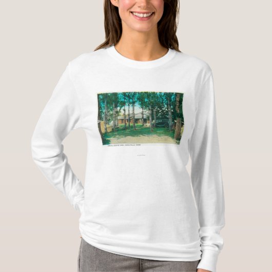 公園のアイダホの市ツーリスト滝の眺め、ID Tシャツ (正面)