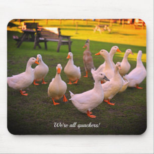 公園のアヒルおもしろい我々は全てQuackers マウスパッド