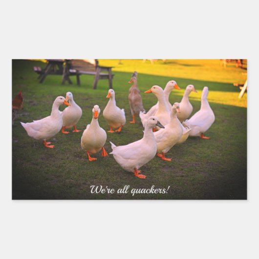 公園のアヒルおもしろい我々は全てQuackers 長方形シール (正面)
